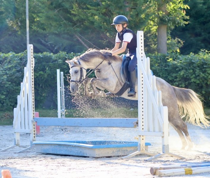 Centre équestre des Églantines - photo 2
