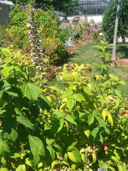 Haras de Roseval - photo 1