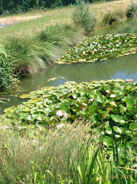 Haras de Roseval - photo 3