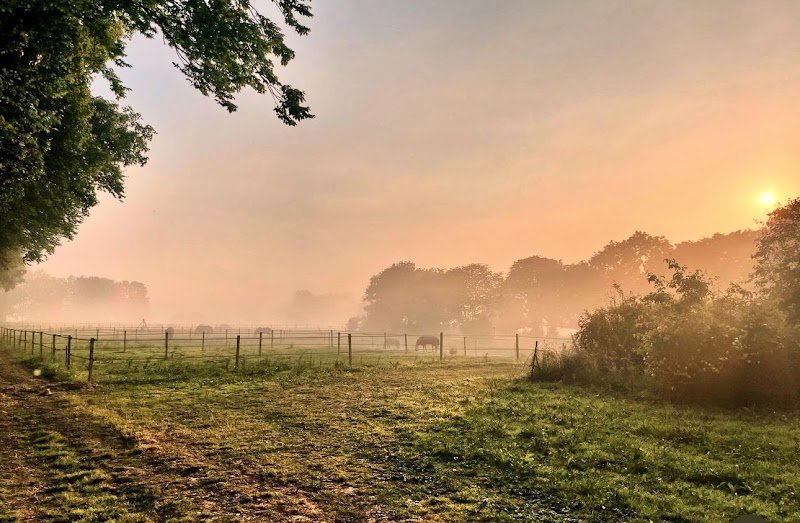 Les Écuries du Bois Roi