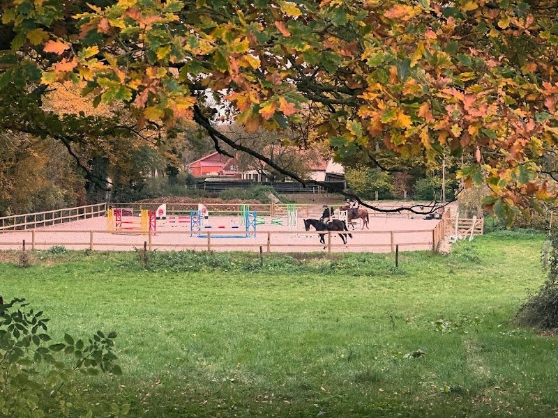 Les Écuries du Bois Roi - photo 2