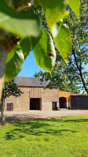 Écurie BOUCHARD G&E - photo 1