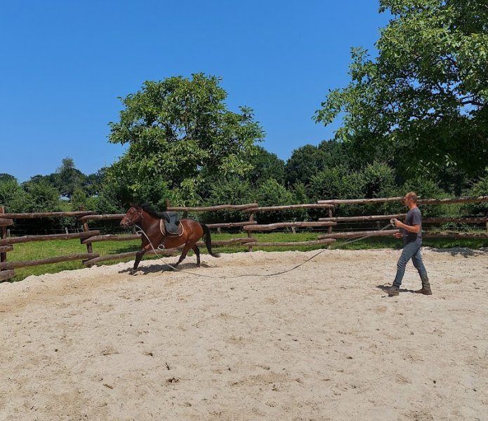 Écurie BOUCHARD G&E - photo 2