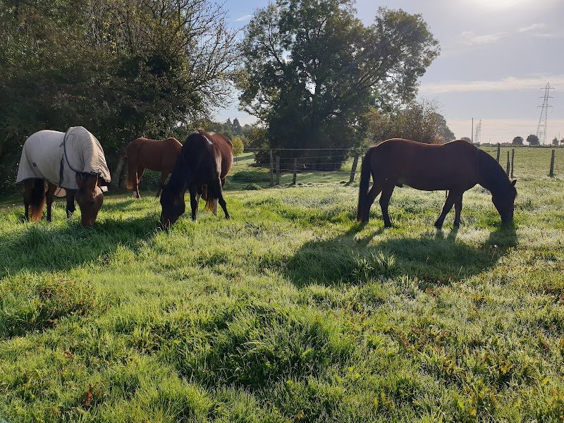 Equiroc - Écurie dynamique/Equi-Pistes - photo 2