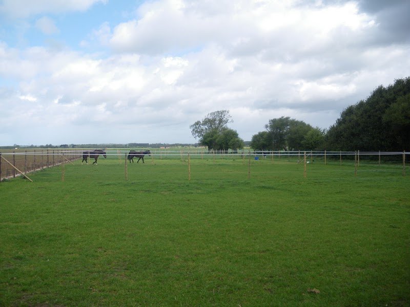 Écurie Spinétoise - photo 1