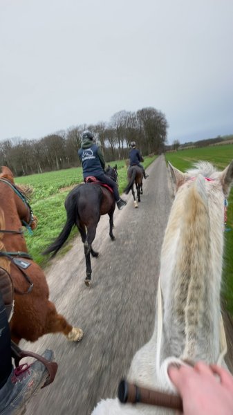 Écurie Spinétoise - photo 2