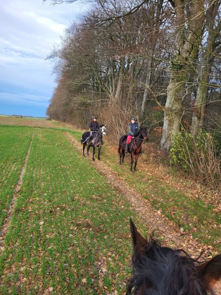 Écurie Spinétoise - photo 3