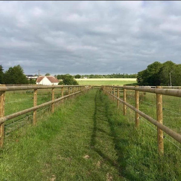 Écurie du Haras du Bosc - photo 2