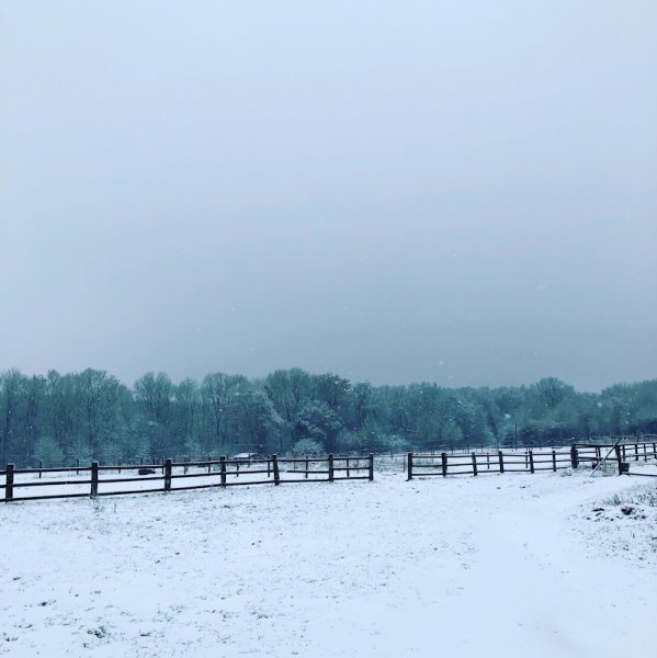 Écurie du Haras du Bosc - photo 3