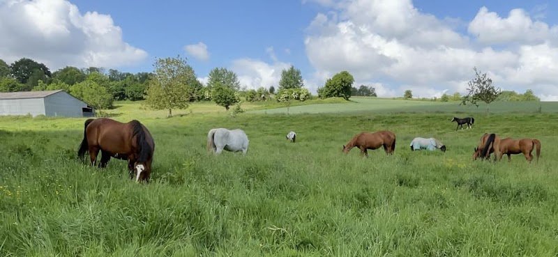Les Écuries de Kalupia - photo 1