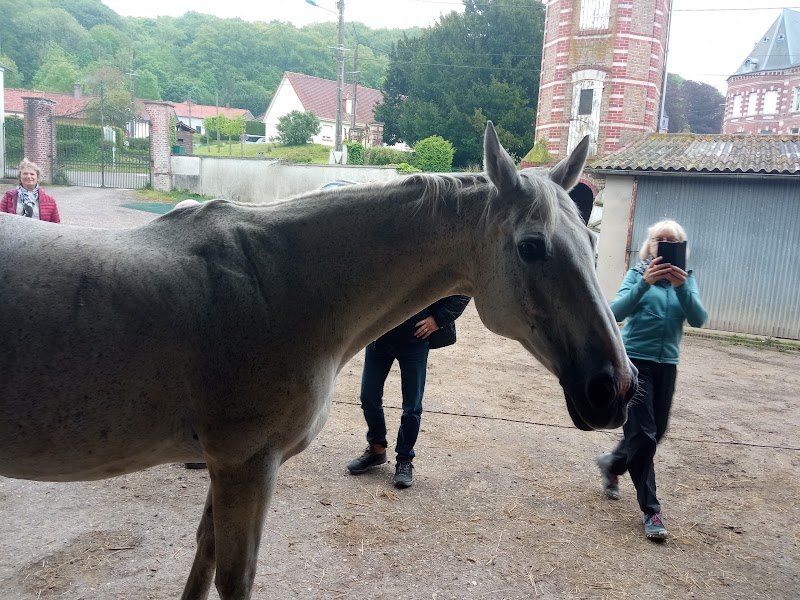 Les Écuries de Kalupia - photo 2