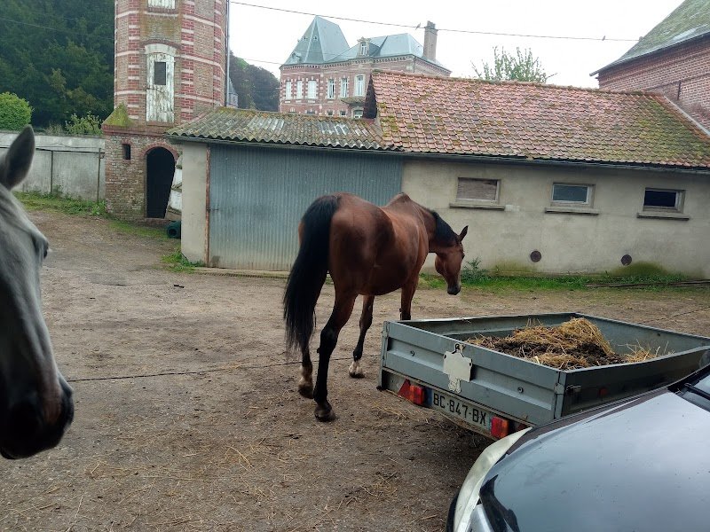 Les Écuries de Kalupia - photo 3