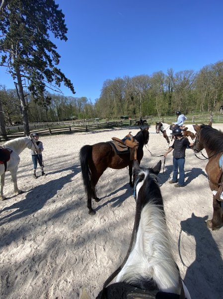 Ecuries des Acacias - photo 2