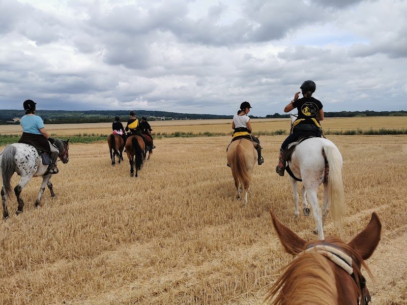 Ecuries des Acacias - photo 3