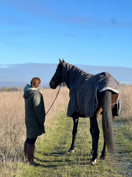 HARAS DU COTY - AMBRE HUSSON - photo 1