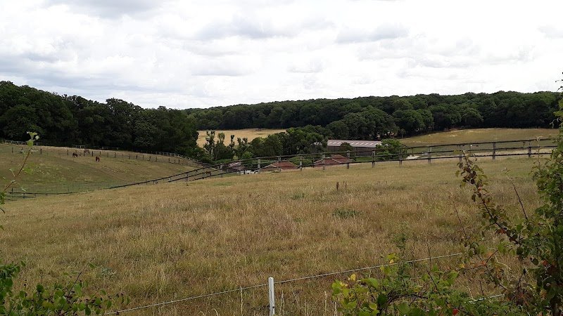 HARAS DU COTY - AMBRE HUSSON - photo 2