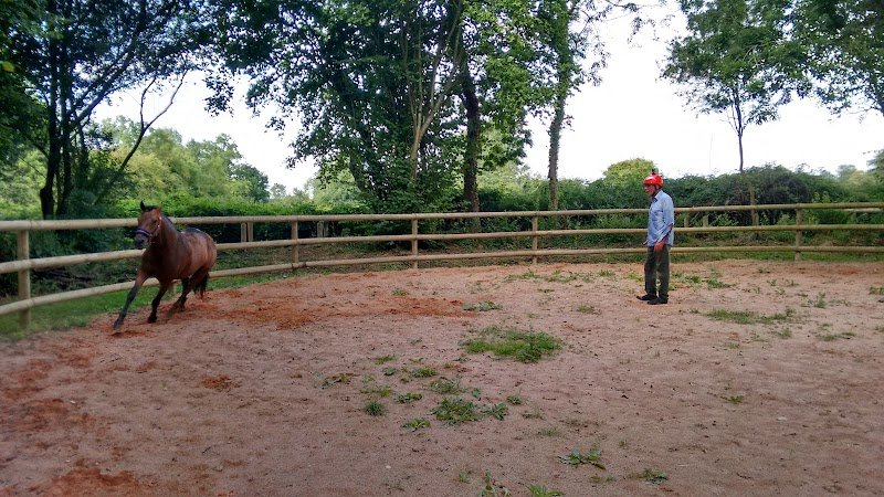 CENTRE EQUESTRE DE LA HOUSSAYE - photo 3
