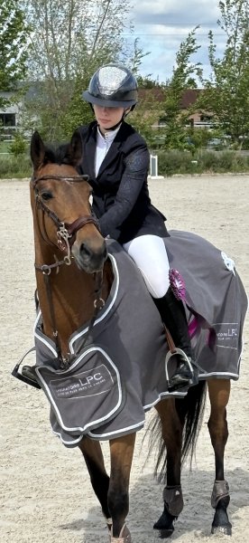 Écurie BAIE JUMP en baie de Somme - photo 2