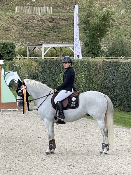 Écurie BAIE JUMP en baie de Somme - photo 3
