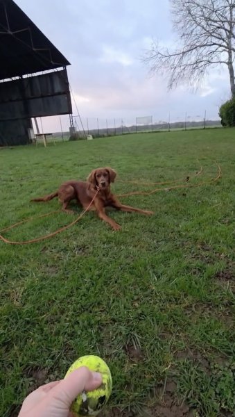 Pension de l'Aventure - photo 1