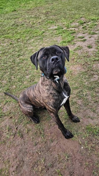 Pension de l'Aventure - photo 2