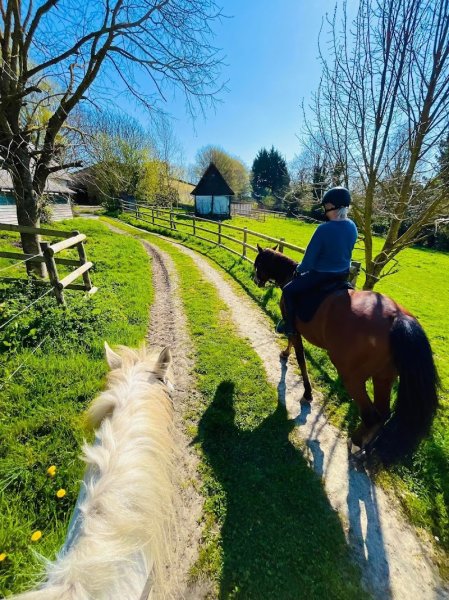 Les Ecuries de l'Orée - photo 2
