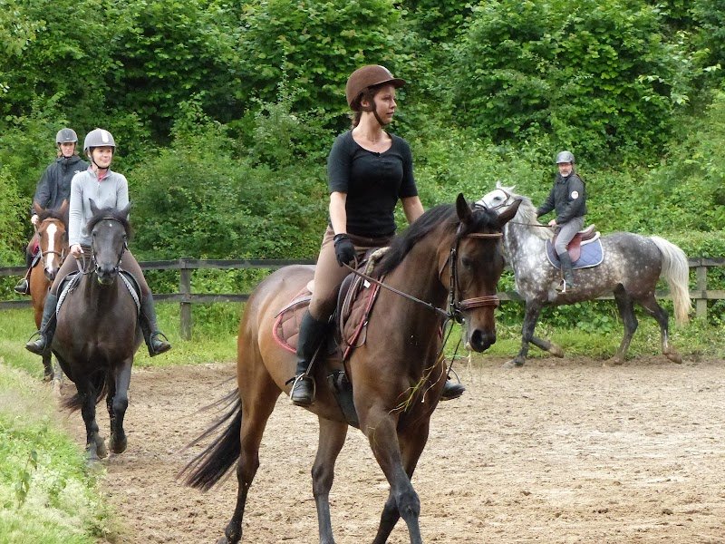 Les Ecuries des Vallées - photo 2