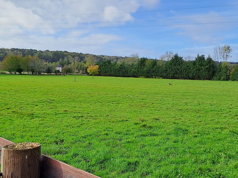 Ecurie du Vieux Cyprés - photo 2
