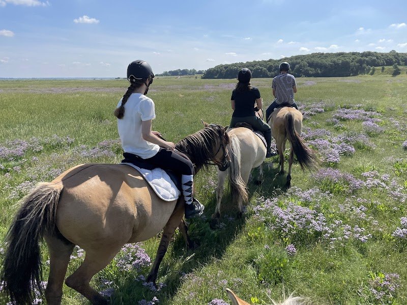 Centre équestre Domaine de l’Amboise - photo 1