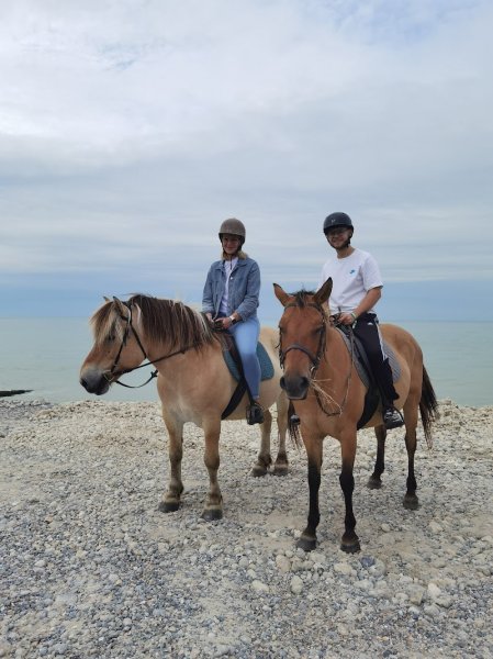Centre équestre Domaine de l’Amboise - photo 2