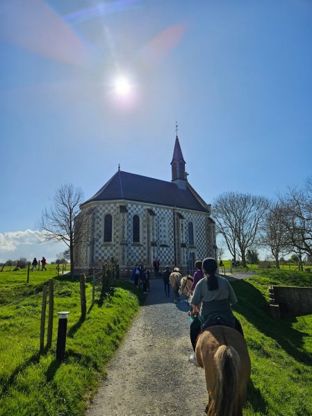 Centre équestre Domaine de l’Amboise - photo 3