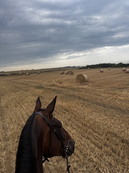Ecurie de la Poterie - photo 1