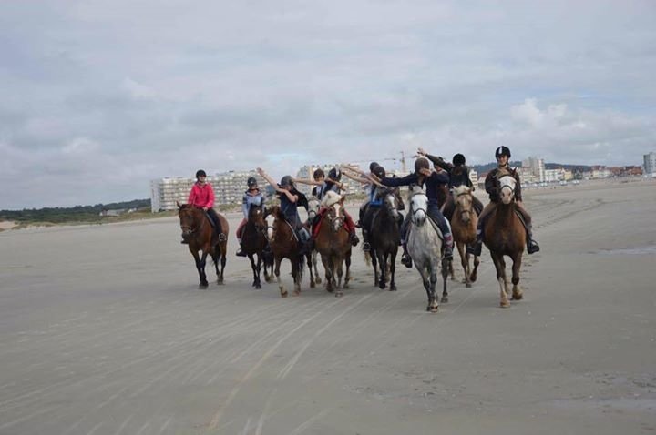 Écurie de la Haye - ex : Écuries des Parpaillots