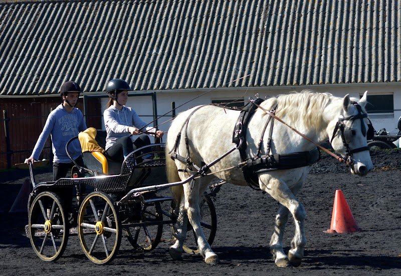 Écurie de la Haye - ex : Écuries des Parpaillots - photo 3