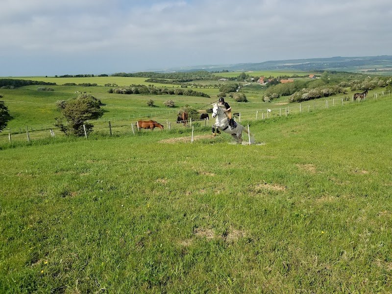 Centre équestre Le Mont de la Louve