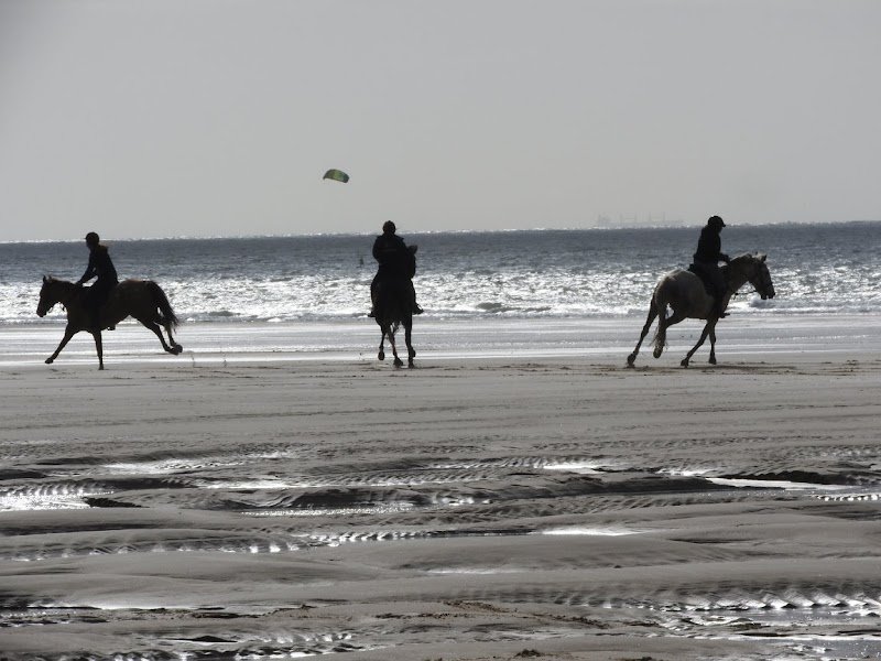 Centre équestre Le Mont de la Louve - photo 2