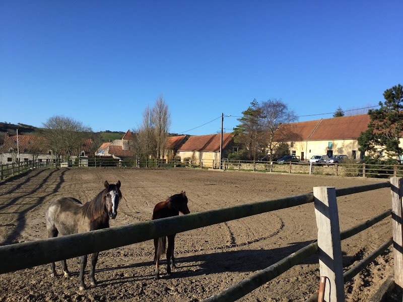 Centre équestre Le Mont de la Louve - photo 3