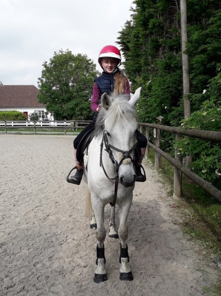 Les écuries de Ledquent - photo 2