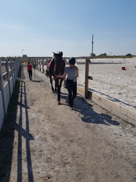 Ecuries Du liévinois - photo 2