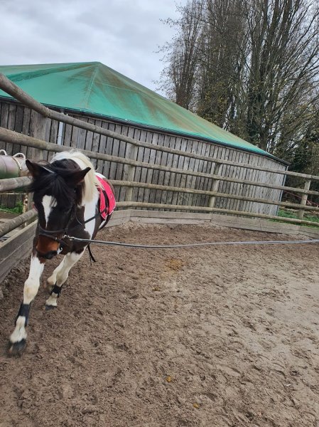Poney Club du Bois des Dames - photo 1
