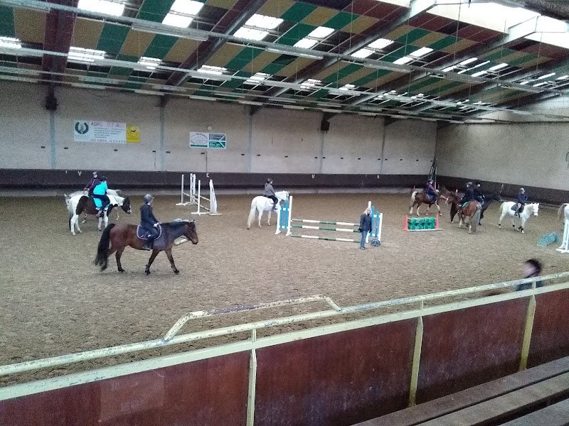 Centre Equestre de Calonne Ricouart - photo 1