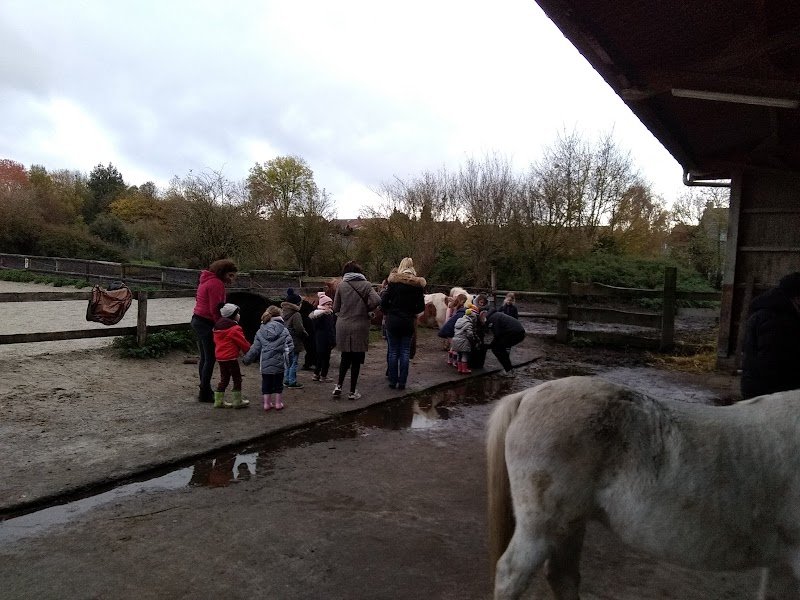 Centre Equestre de Calonne Ricouart - photo 3
