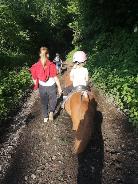 Les Ecuries du Bajuel - photo 2