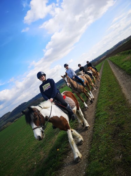 Les Ecuries du Bajuel - photo 3