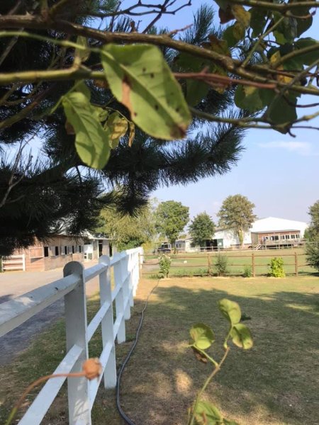 Écurie du manoir - photo 1