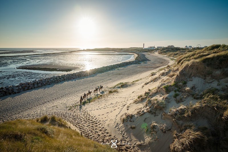 Espace Équestre Henson - La Molière de Berck