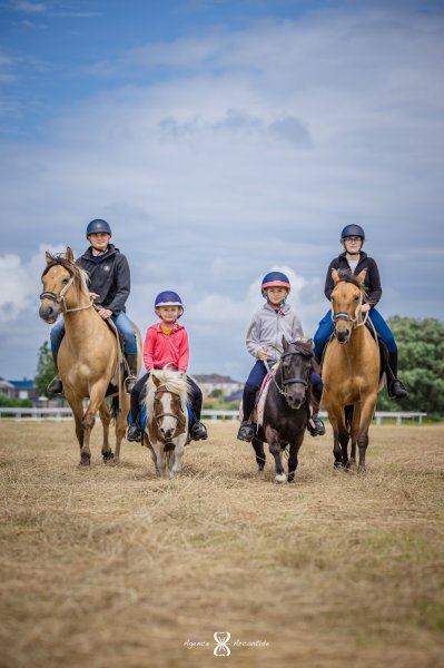 Espace Équestre Henson - La Molière de Berck - photo 3