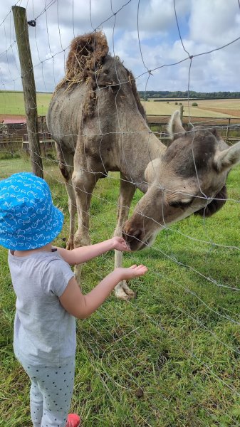 Centre équestre La Ferme de Mon Enfance - photo 2