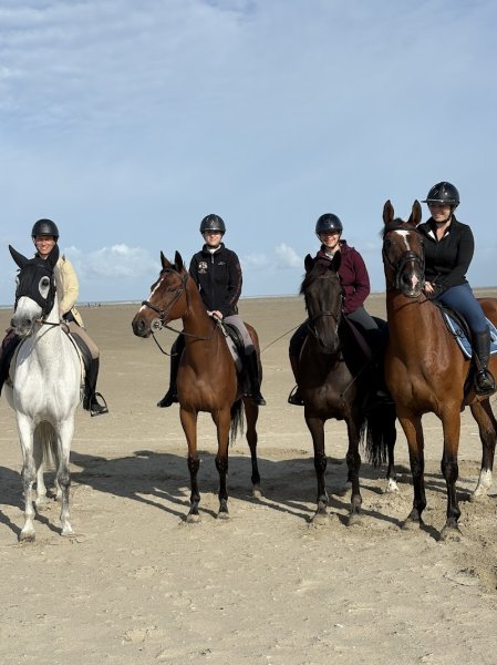 Espace Équestre Henson - L'Étrier - photo 2