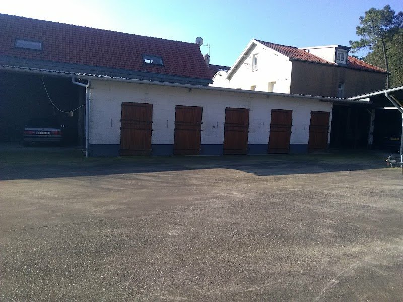 Écurie Ribatejo - photo 3